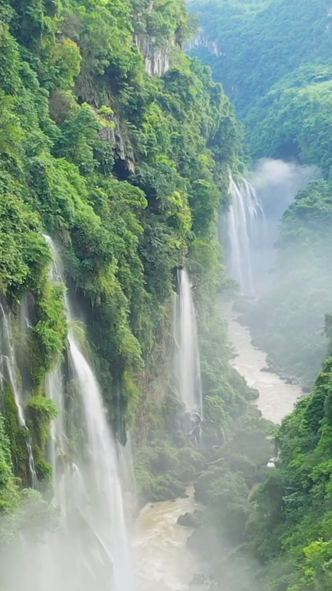 我的私藏景点#秦岭中国龙脉  处女地  充满神秘令人向往