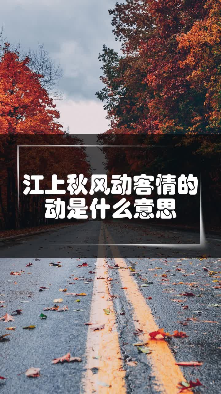 江上秋风动客情的动是什么意思