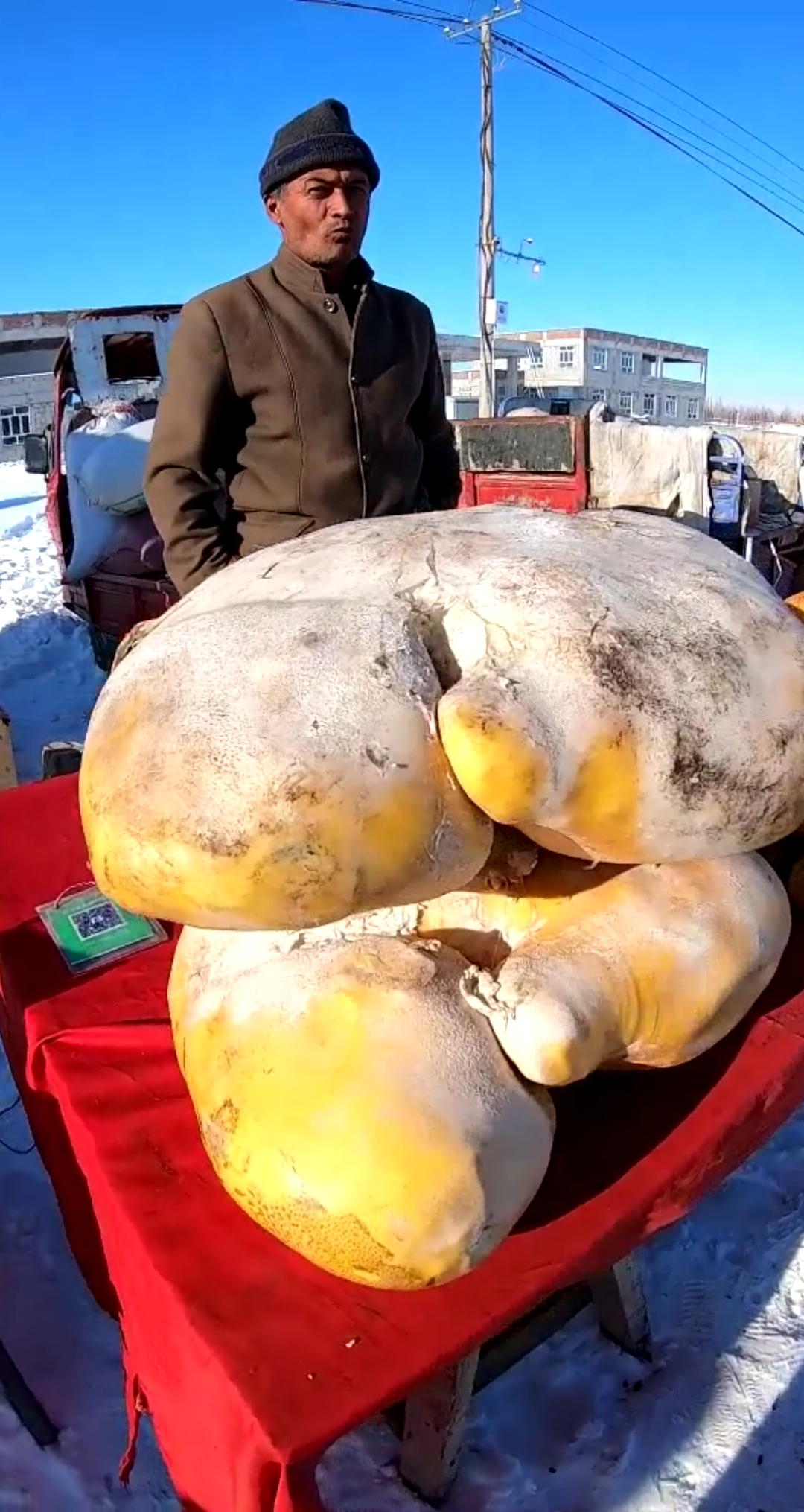 捕"桌"欢乐时光#这超级大土豆,一个吃一个月