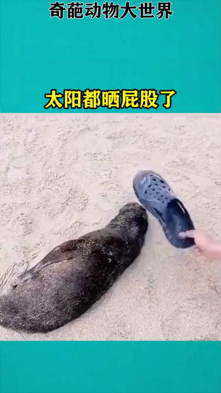 我要上热门#太阳都晒屁股了