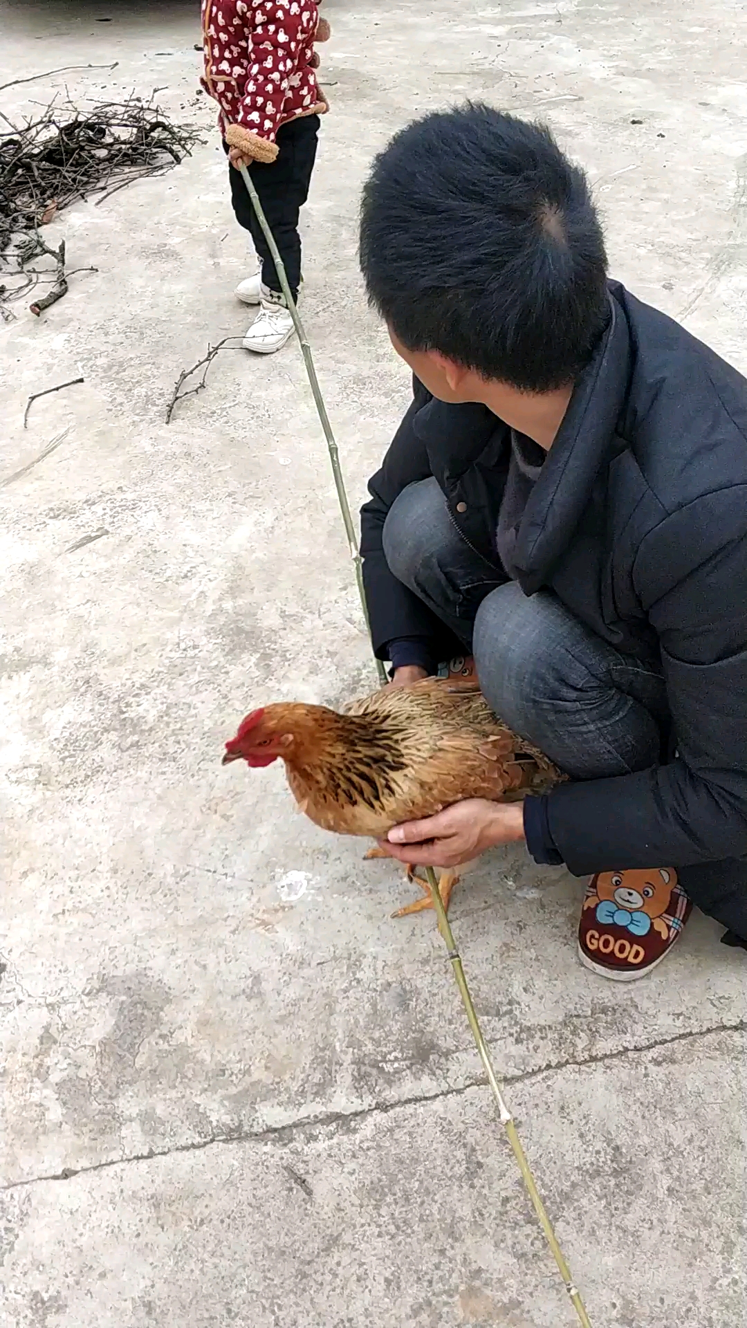 这个母鸡好凶猛!抓了半天才抓住!
