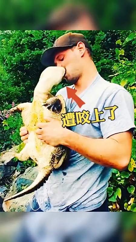 搞笑段子剧#被鳄鱼龟咬一口啥感觉?