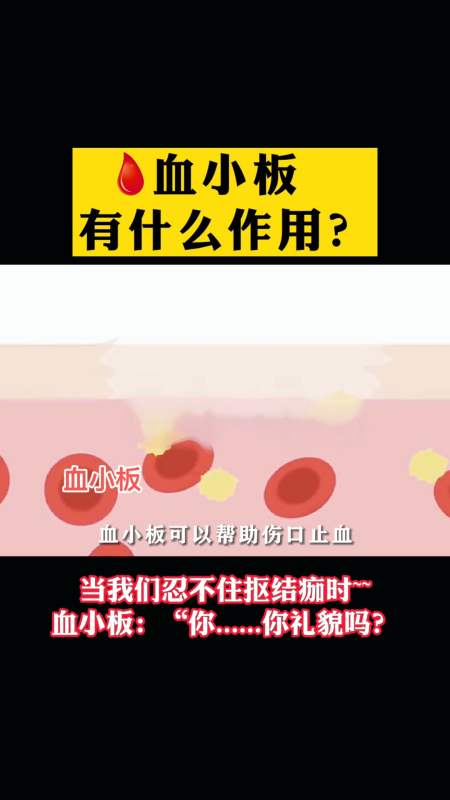 健康科普血小板有什么功效