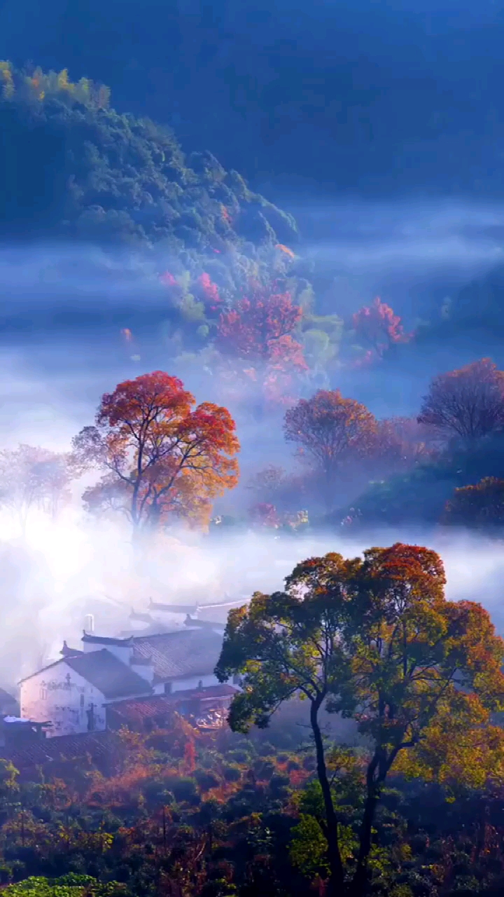 我的私藏景点#人间烟火神神仙界,布谷鸟鸣出画卷