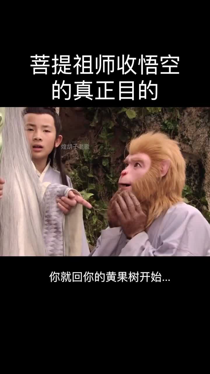 菩提祖师搞笑图片图片