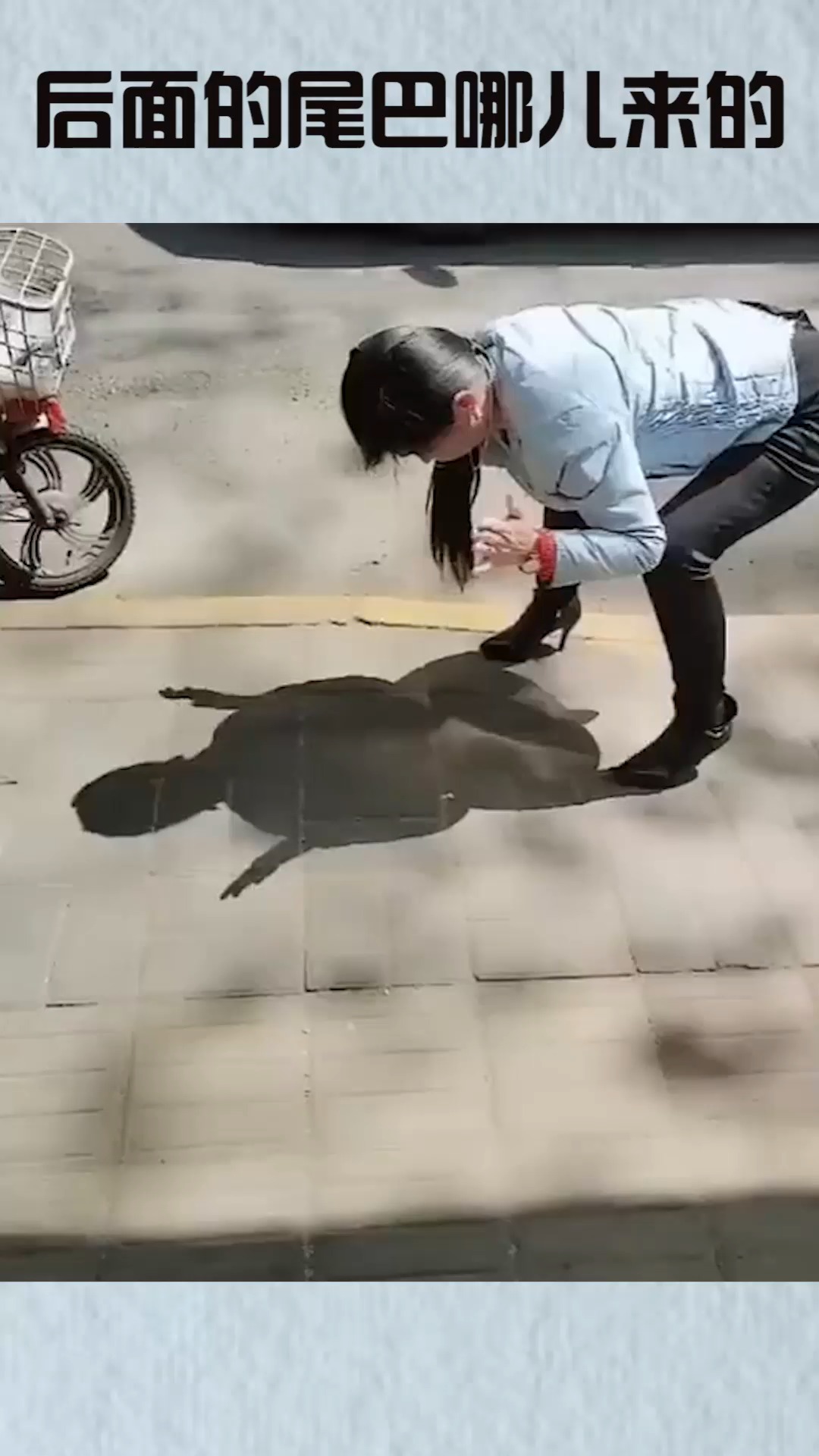 我要上热门#女子学乌龟的模样,阳光下的影子非常像,不过尾巴从哪儿来