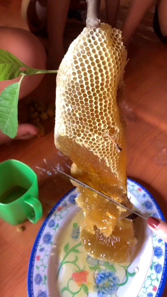 这蜜蜂屎,看着都腻人