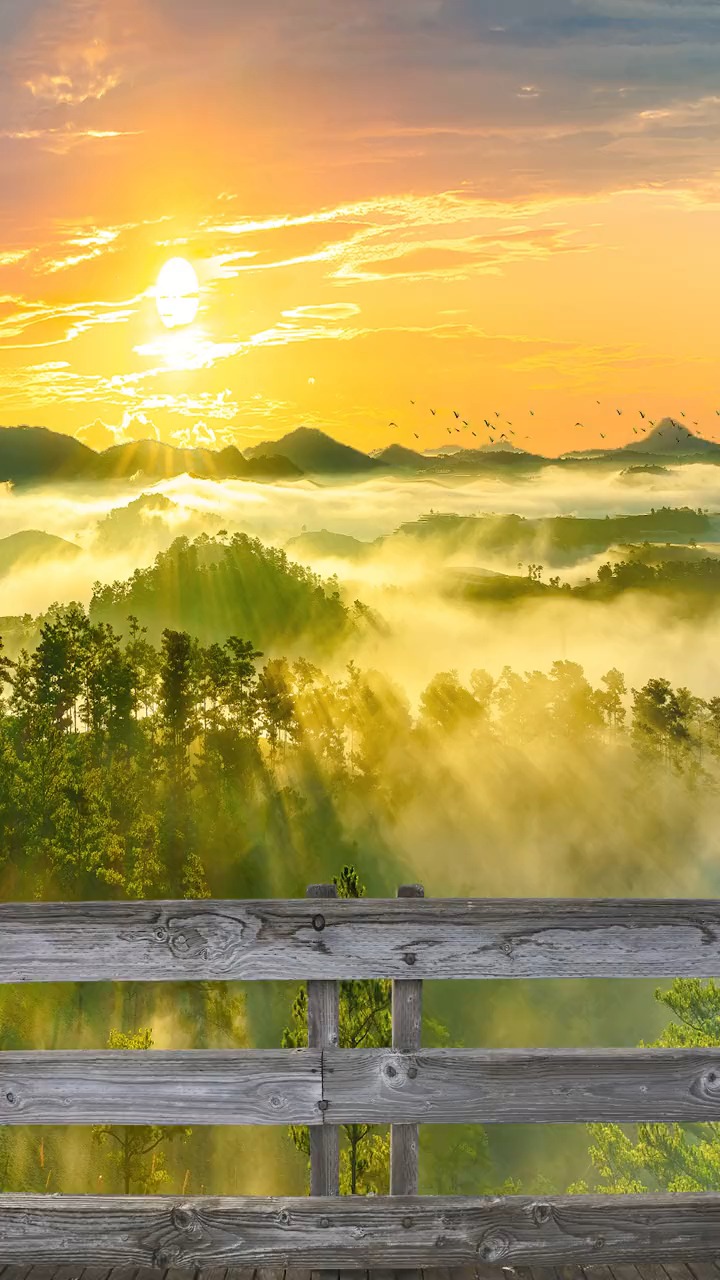 夏去秋来清风至,岁月静好多喜乐,风景,仙境云海,这个秋天真好