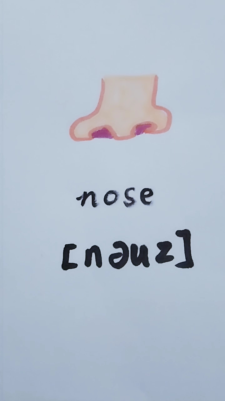 鼻子英语怎么写图片