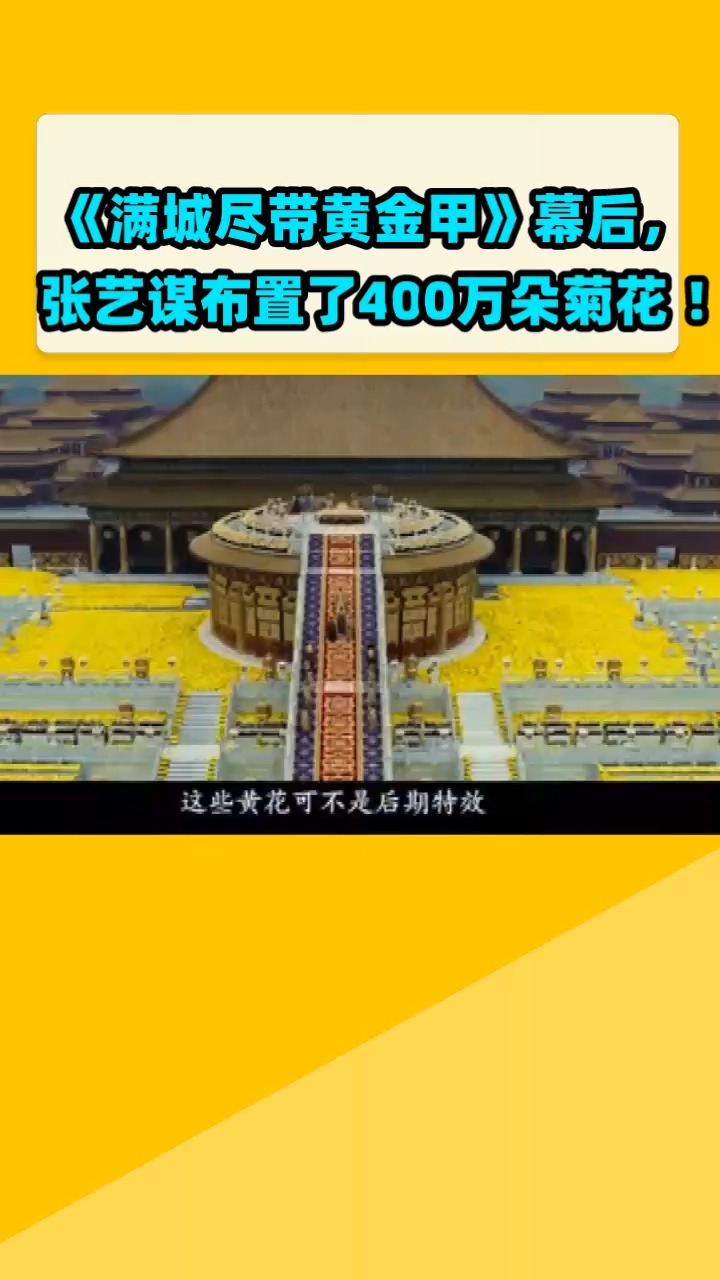 《满城尽带黄金甲》幕后, 张艺谋布置了400万朵菊花 !