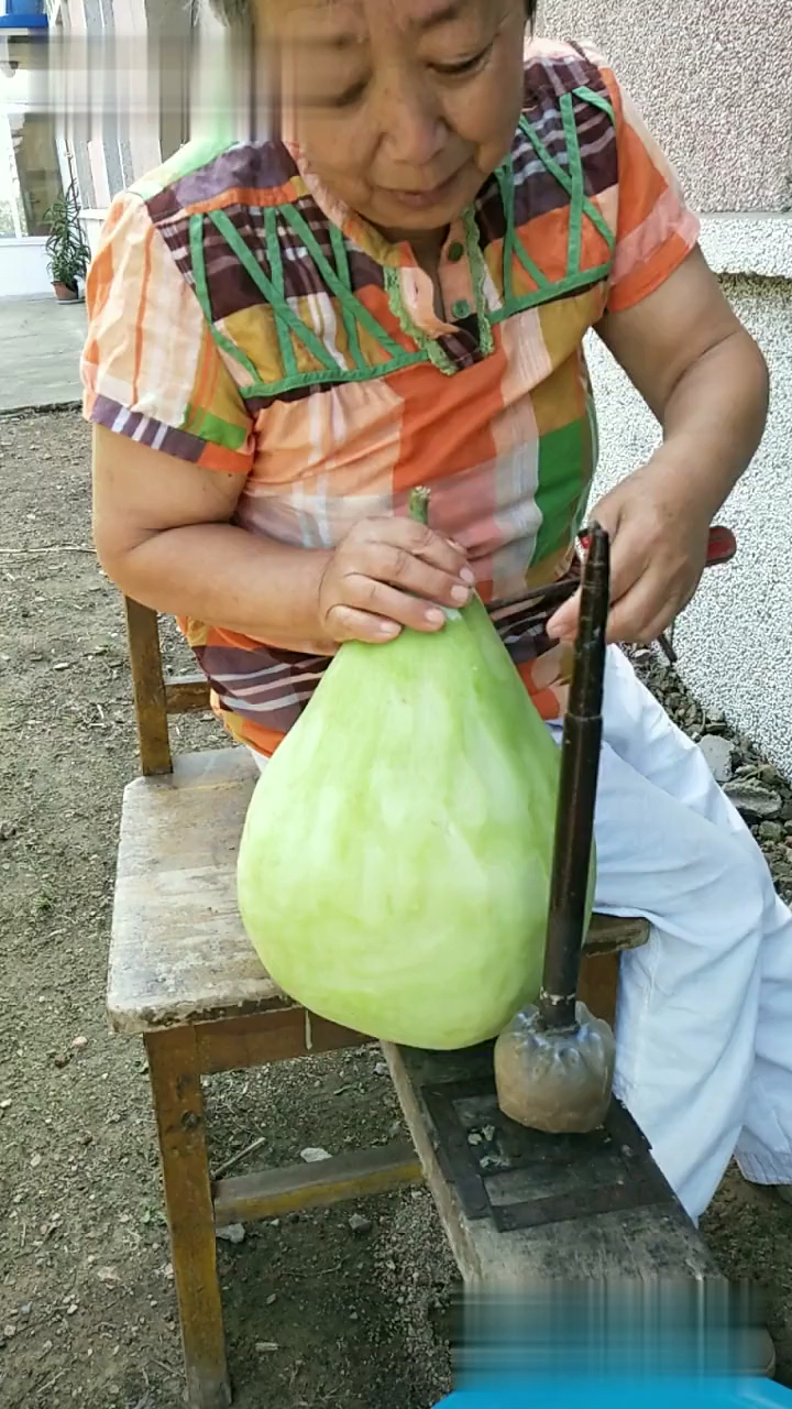 葫芦条 有人知道它么?