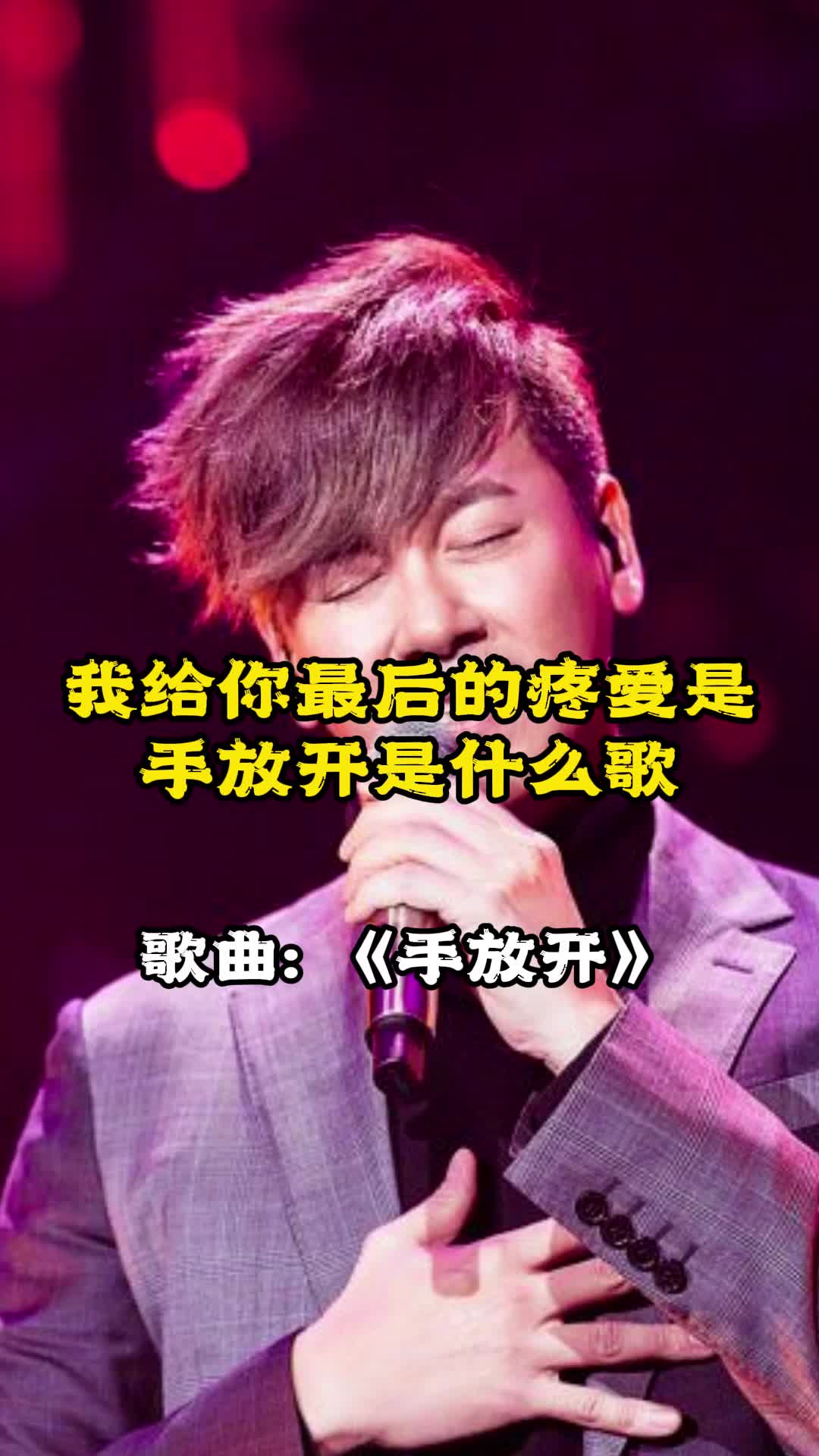 我给你最后的疼爱是手放开这句歌词出自哪首歌快来听听吧
