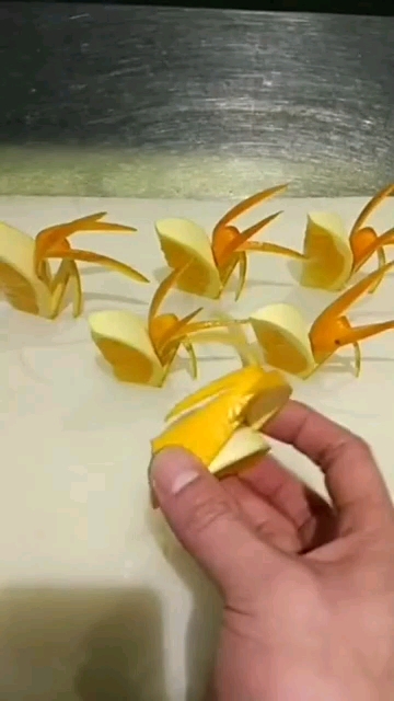 劳动最光荣#橙子切花教程