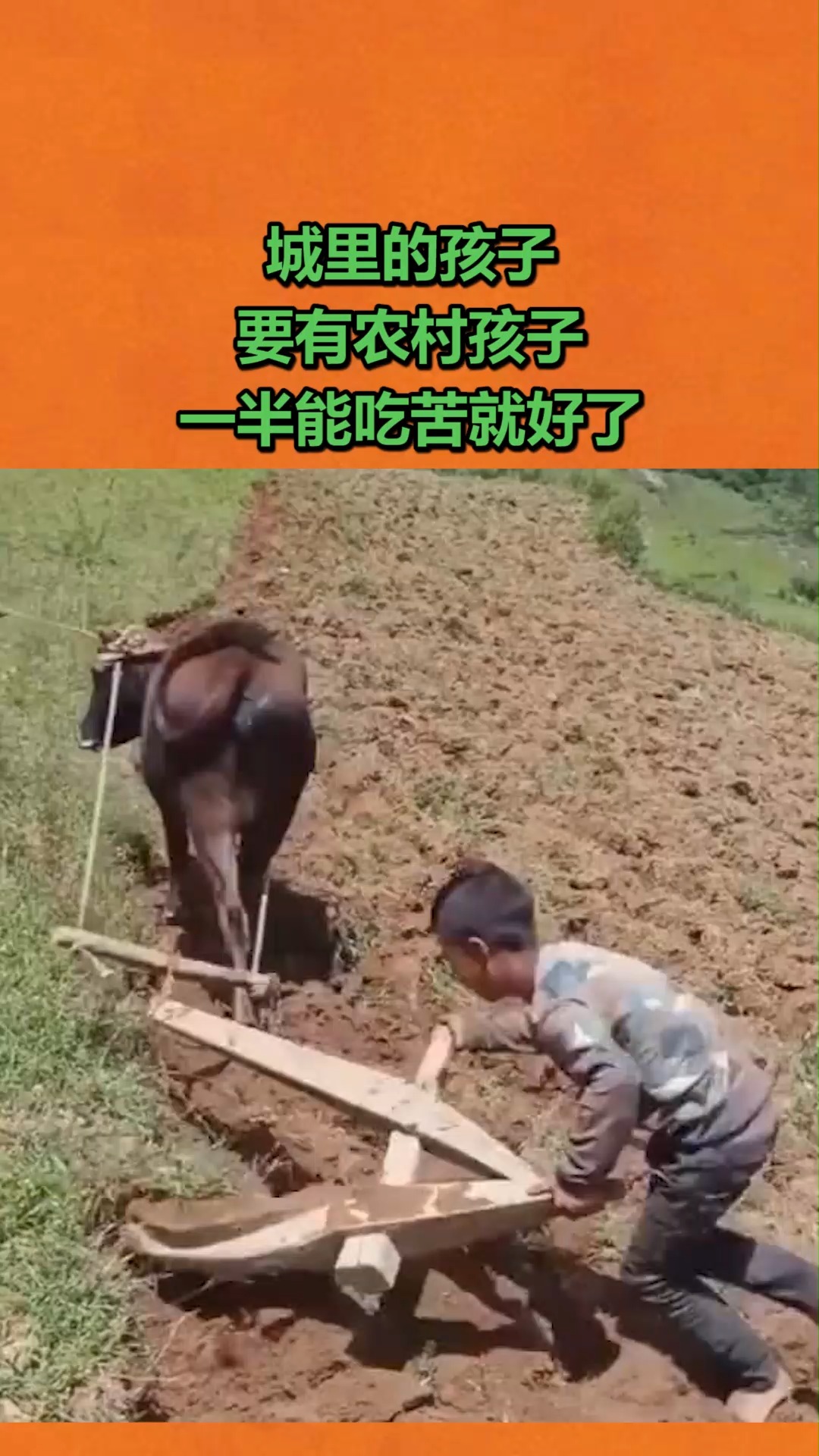 搞笑视频