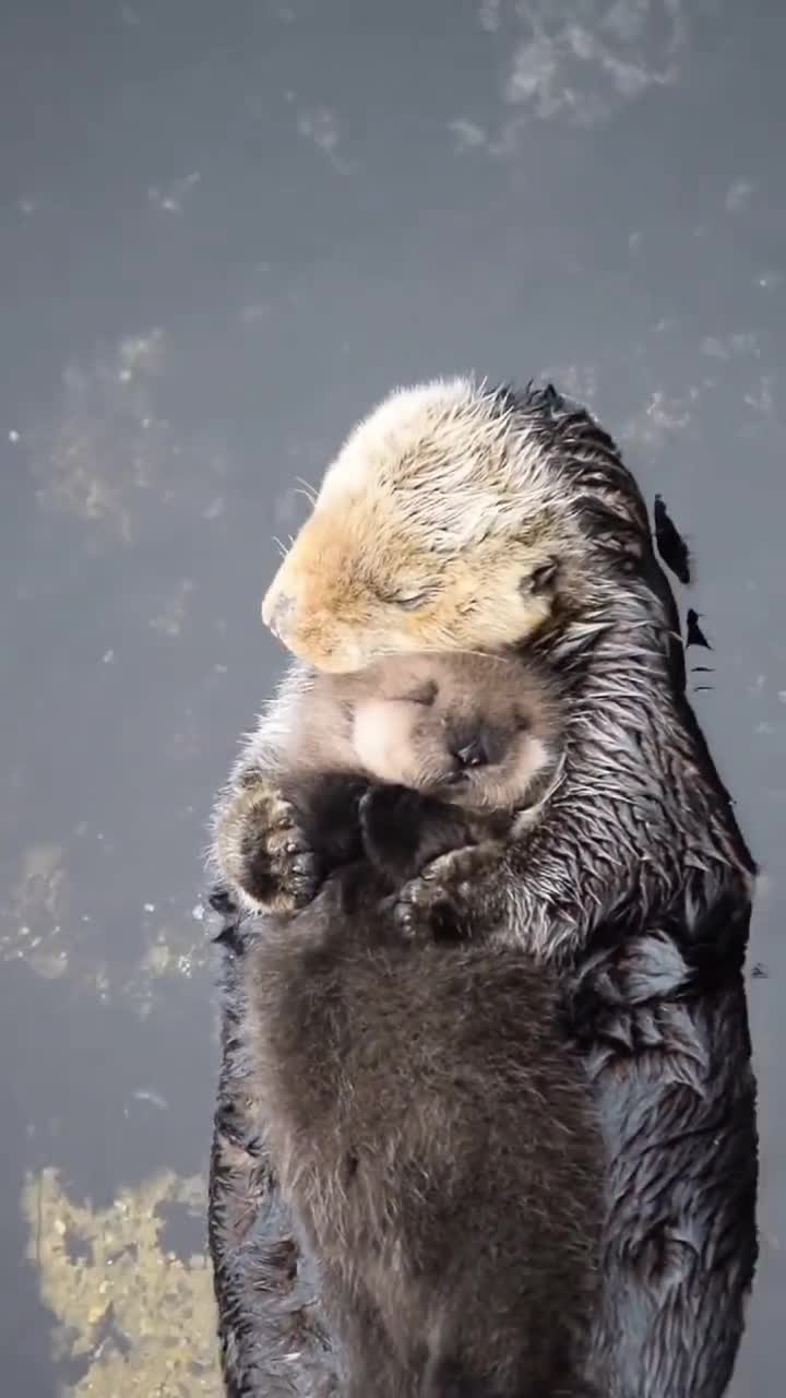 妈妈把宝宝抱在怀里睡着了,好温馨