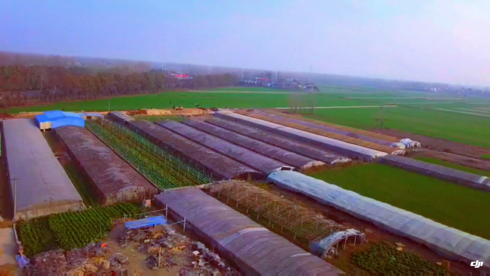 娱乐#航拍丰县凤城镇闫庄村路庄村,永远的留念!