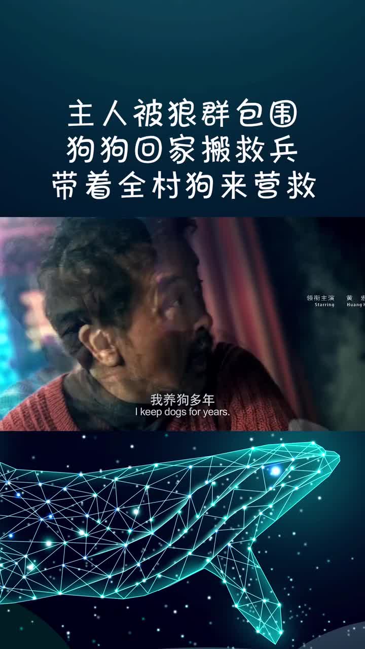 太感人了!#感人电影#雪狼犬#电影剪辑@全民小助手