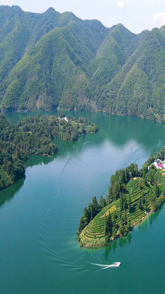黄山曙光村,是太平湖上一座孤岛,46户居民,生态环境很好,进村不通车