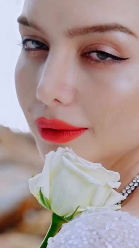 相处年领证年粉丝万你愿意成为我们大家庭的一员吗凯诺夫妇梦露