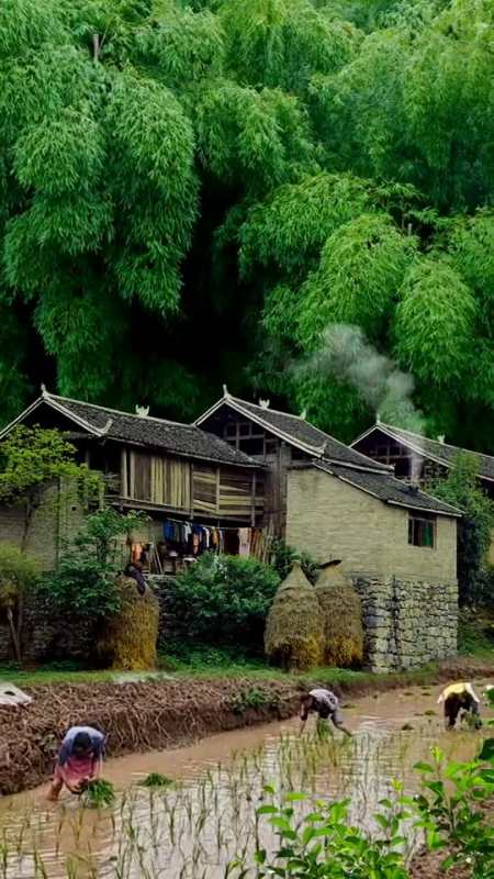 大自然美景这就是农村乡下,山沟沟里很穷,很多人翻到我就直接划走了-