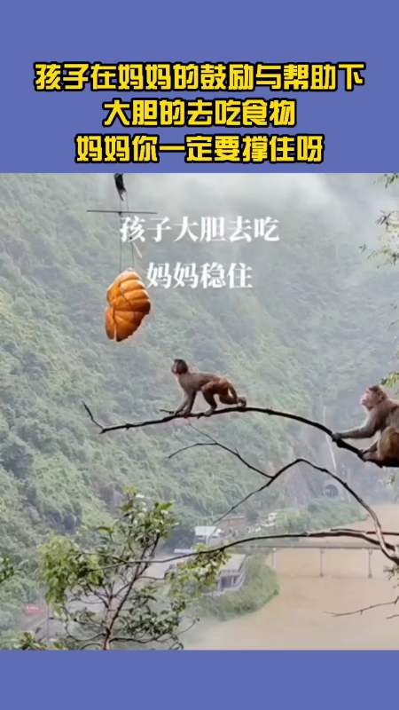 孩子在妈妈的鼓励与帮助下大胆的去吃食物妈妈你一定要撑住呀