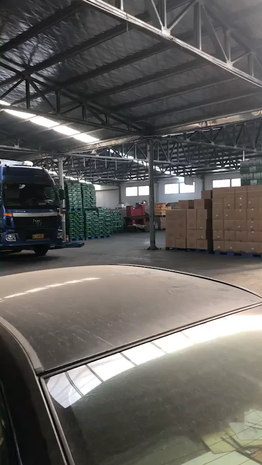 过年了,存了一仓库啤酒,我怕不够喝的