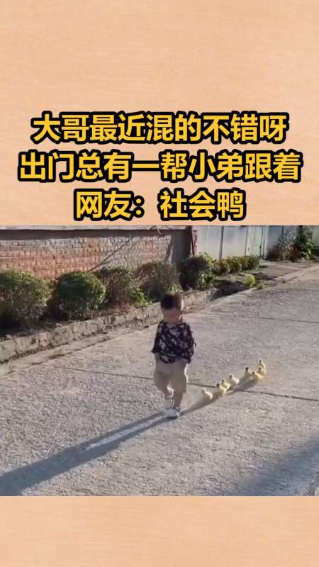 娱乐#大哥最近混的不错呀,出门总有一帮小弟跟着,网友:社会鸭