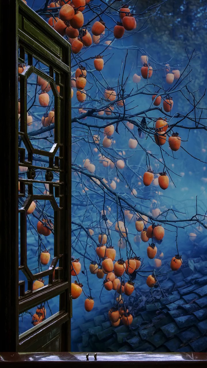 一人静,在静谧的夜晚,空灵,优美,我醉于窗外的景韵,寂寞着,芳芬着