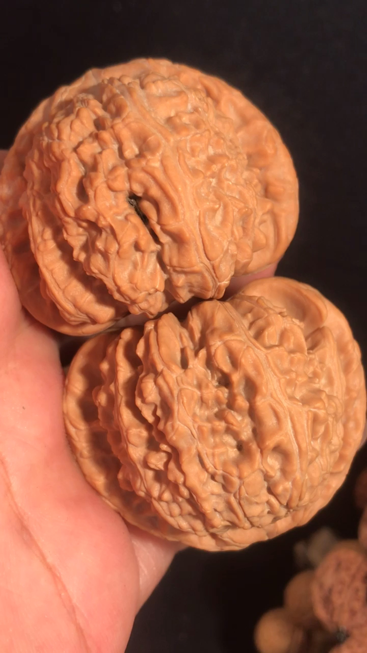 文玩核桃#闷尖白狮子头