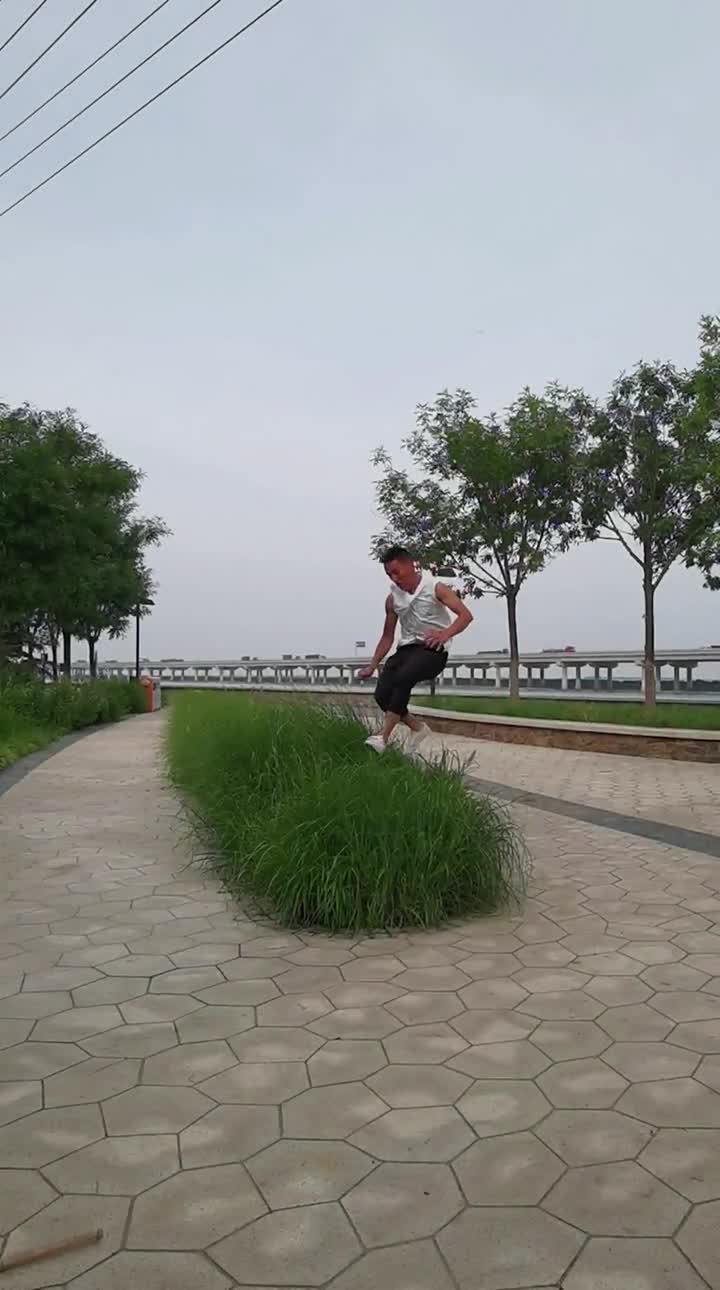 踏步而来(轻功草上飞)