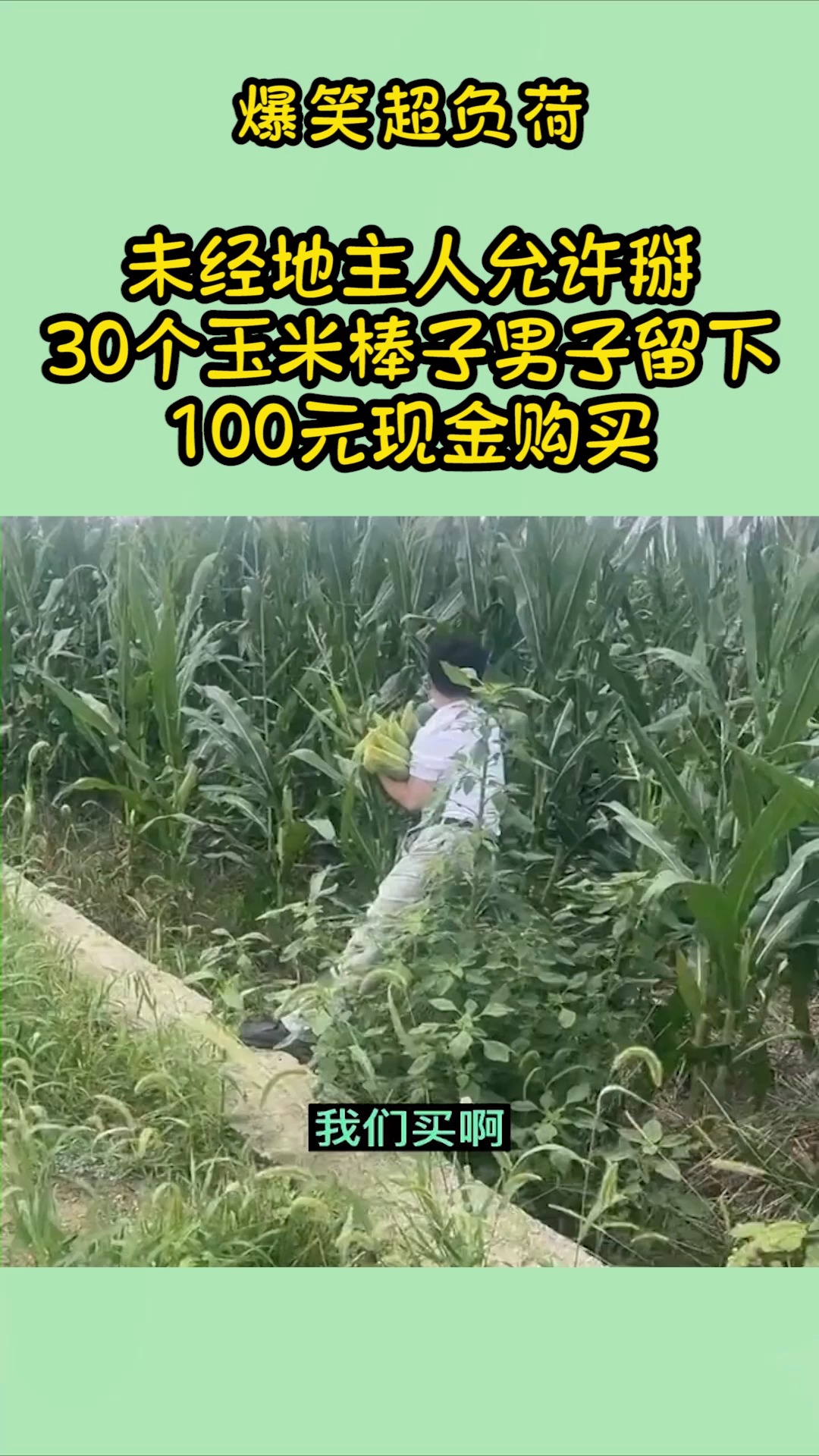 我要上热门#未经地主人允许掰30个玉米棒子,男子留下100元现金"购买"