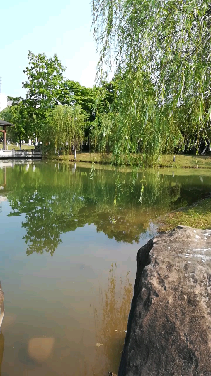 西科大校园人工湖