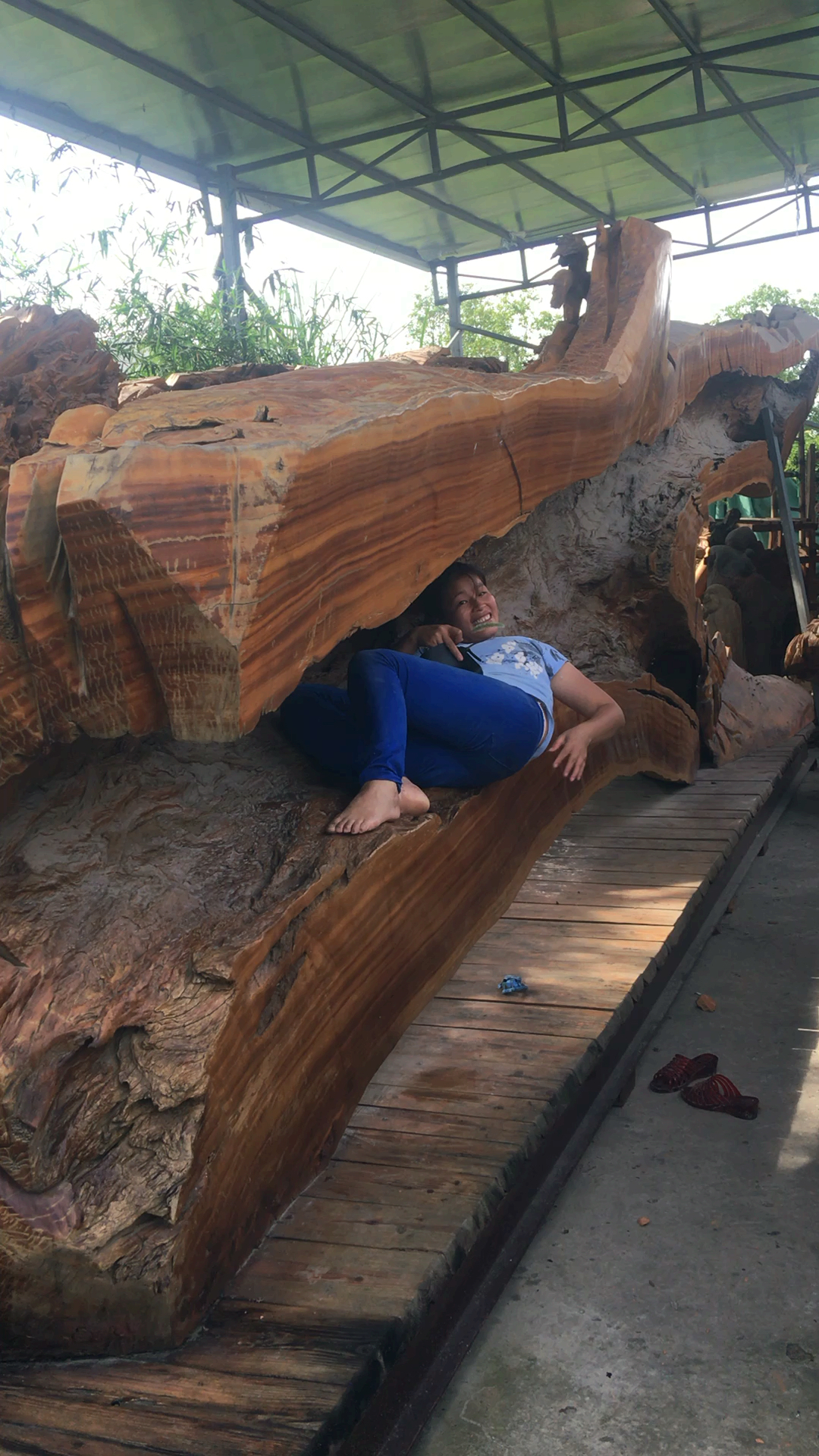 睡了八年的树床