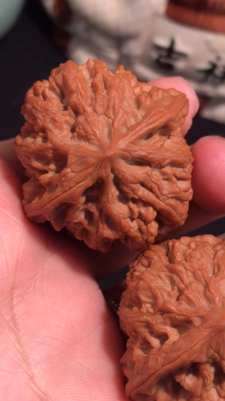 文玩核桃,窝底小粗筋