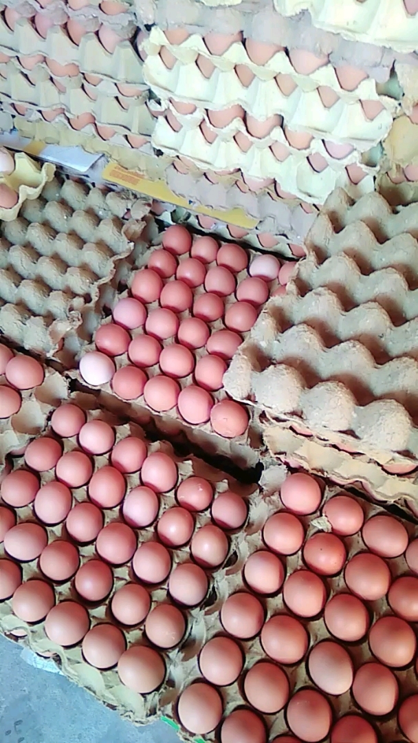 全民晒年货#又到一车鸡蛋