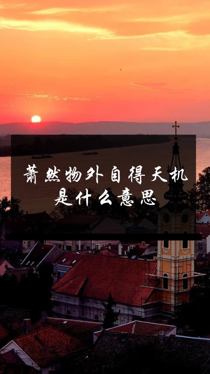 萧然物外自得天机是什么意思