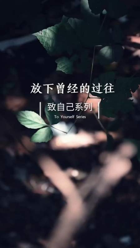 情感语录#人生最好的放生,就是放过自己