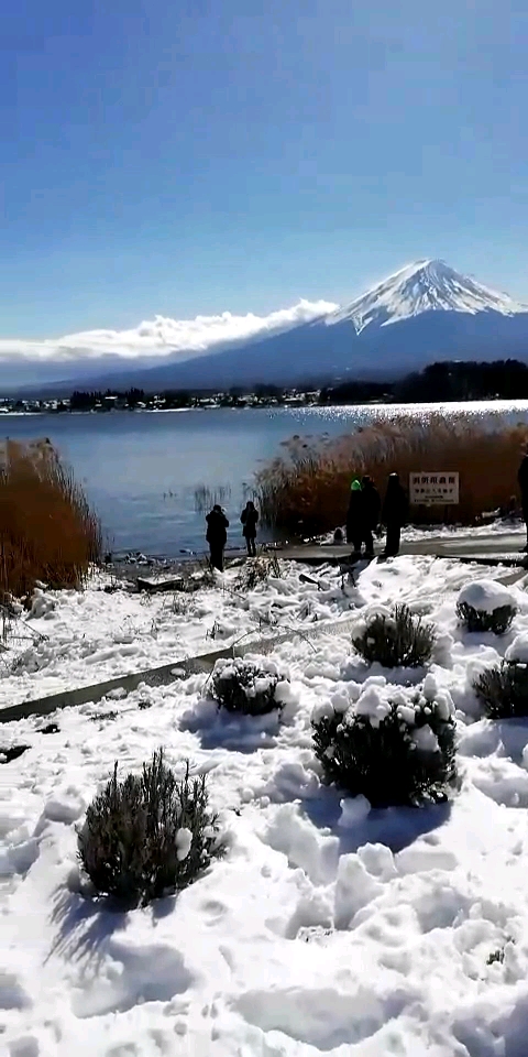 日本富士山 下雪了