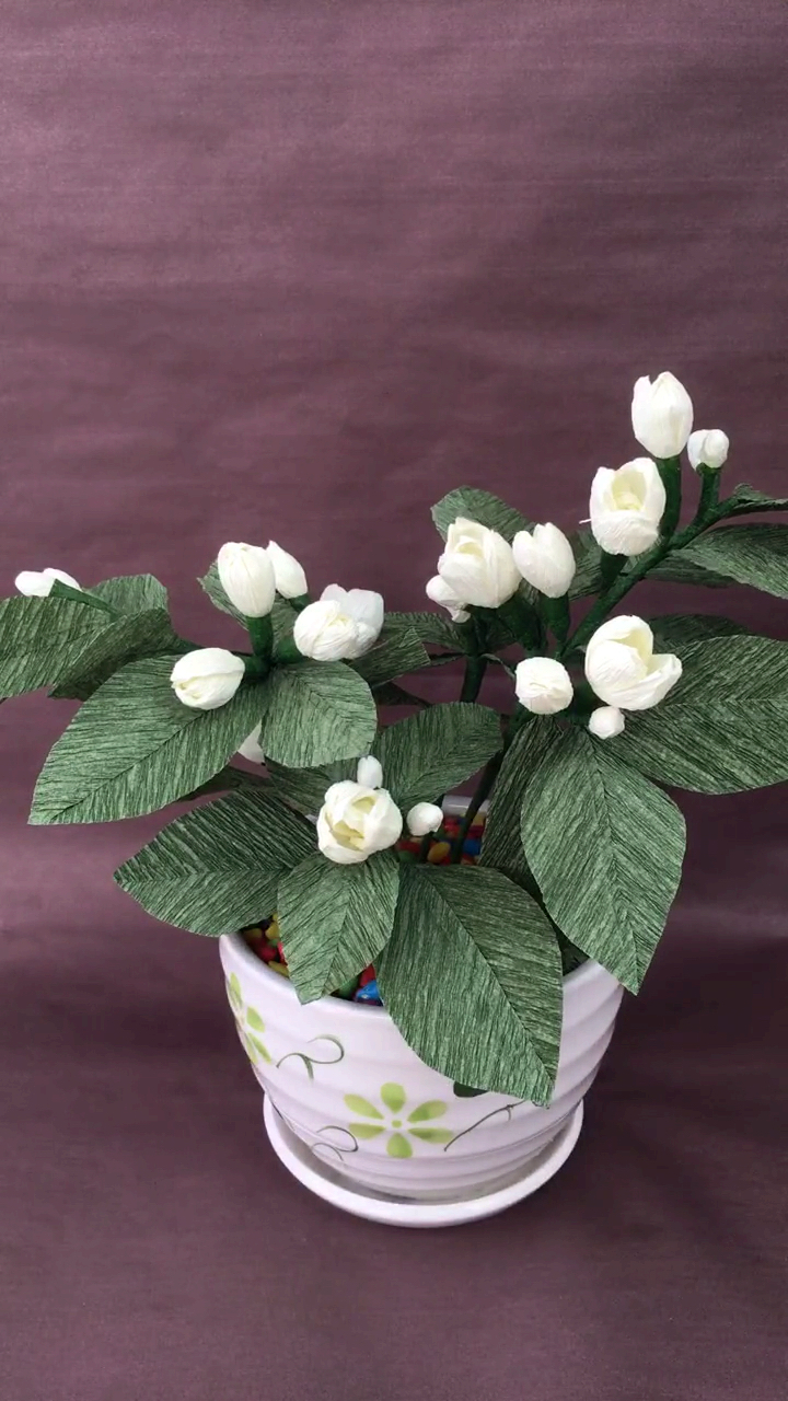 皱纹纸花苞型茉莉花盆景制作方法2