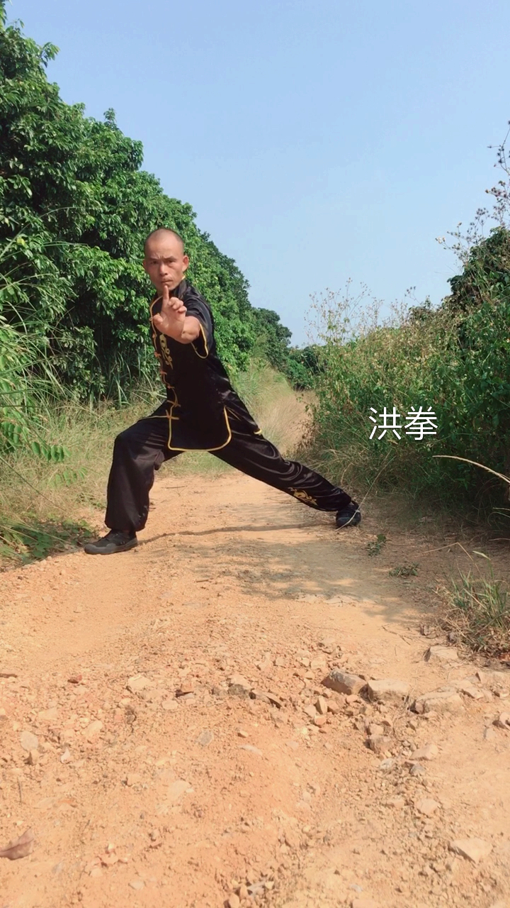 中华功夫#分定寸洪拳长桥大马