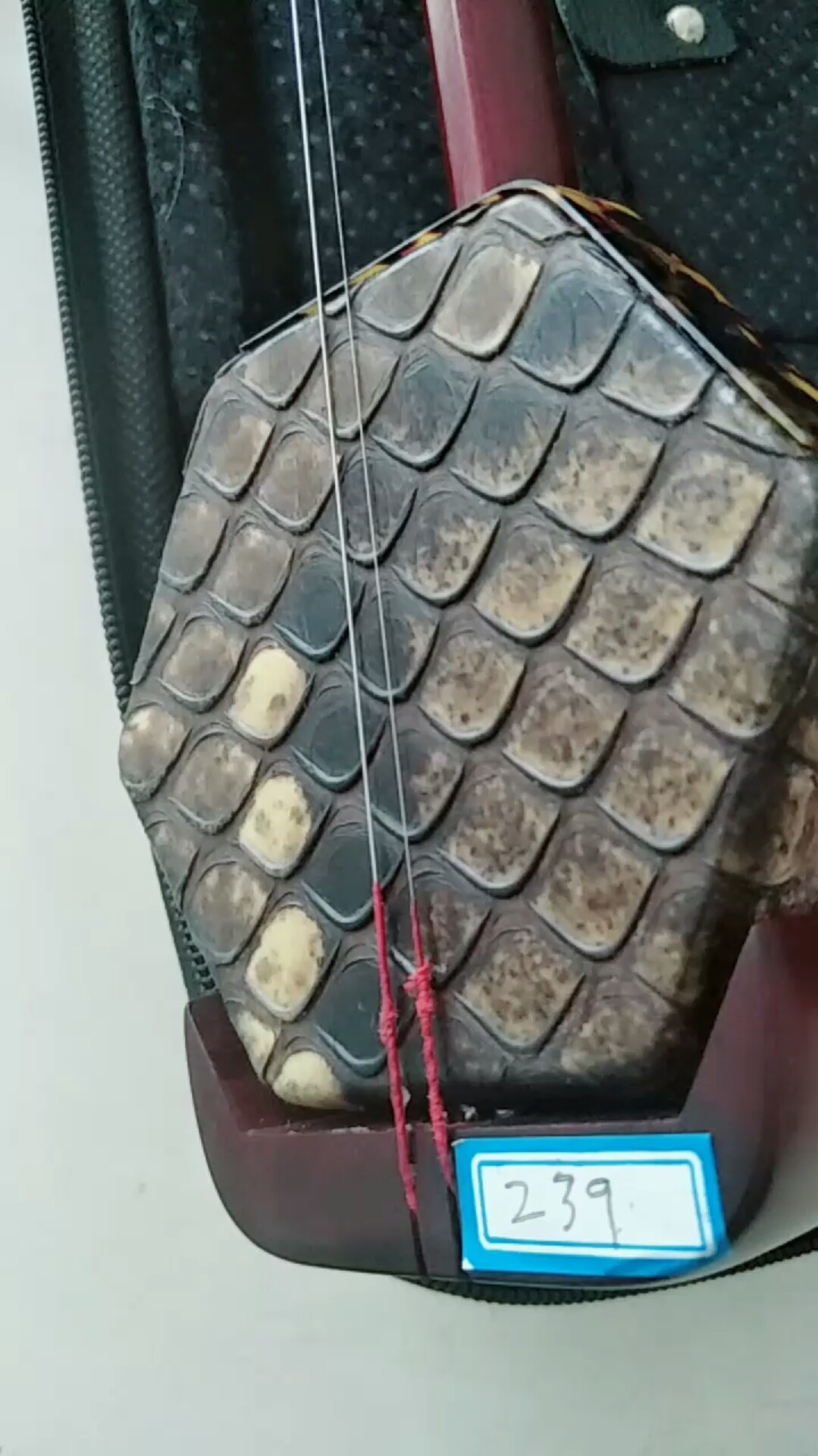 专业演奏大鳞片规整蒙皮老紫檀二胡