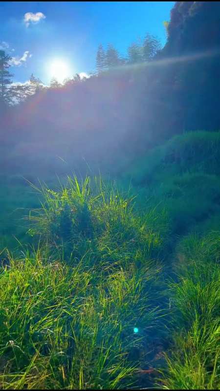 这个世界上有两种最耀眼的光芒,一种是太阳,一种是你努力的模样