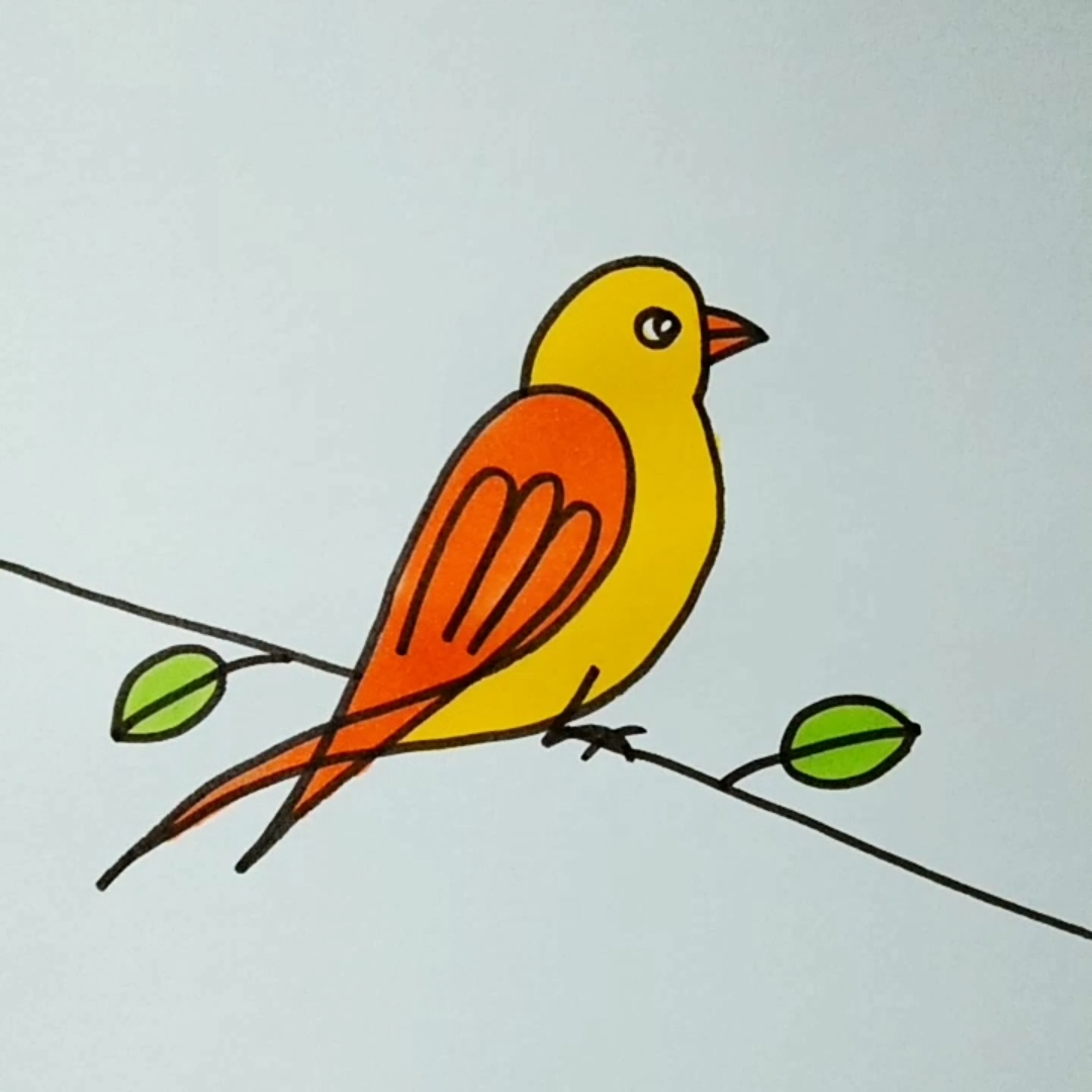 简笔画#这样画鸟秒会哦
