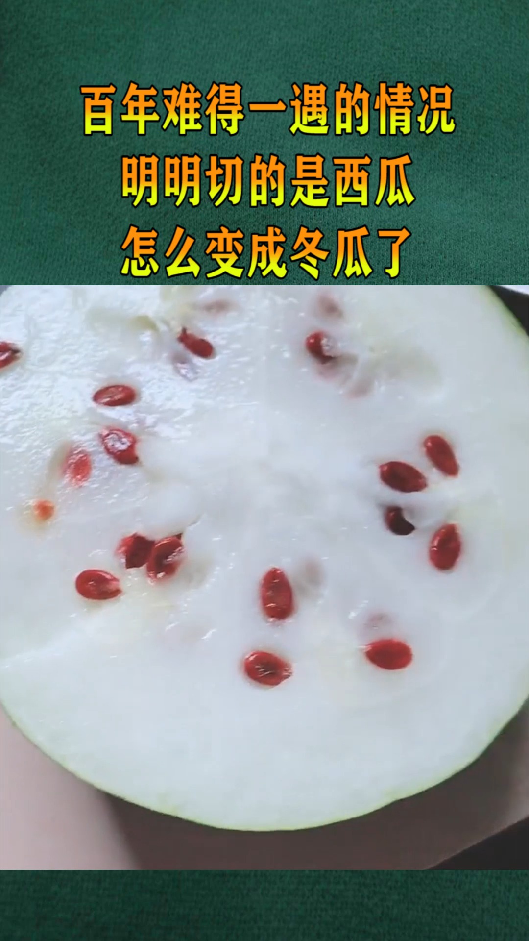 百年难得一遇的情况,明明切的是西瓜,怎么变成冬瓜了?