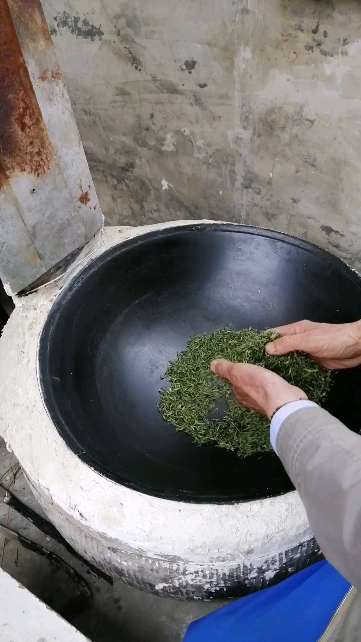 手工炒茶之揉捻