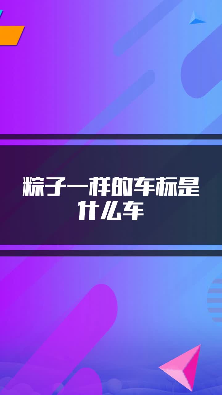 像粽子的标志是什么车图片