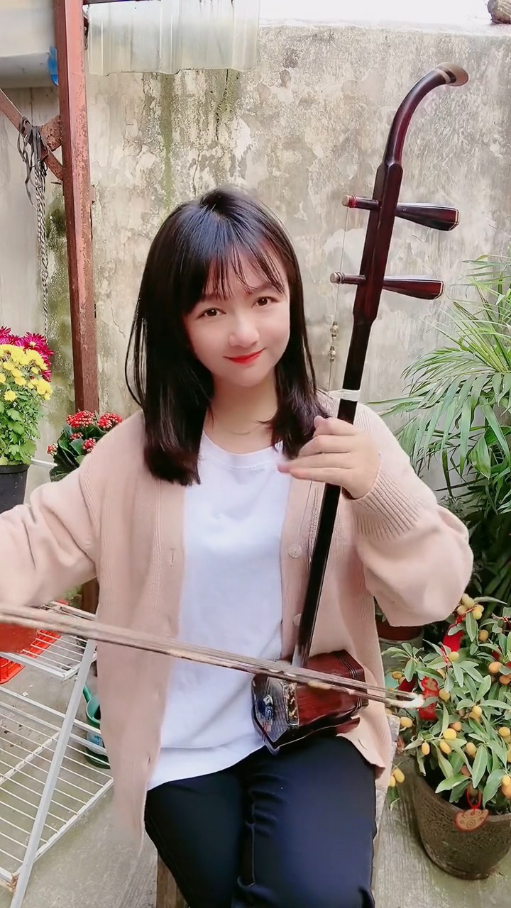 传承中华传统文化国风古韵民乐艺术欣赏二胡拉奏摘石榴弘扬民乐文化