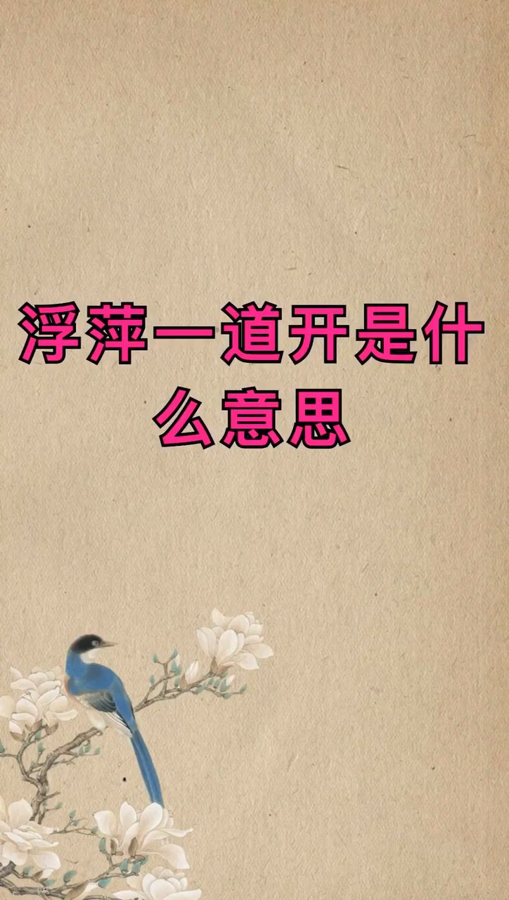 不解藏踪迹,浮萍一道开是什么意思?