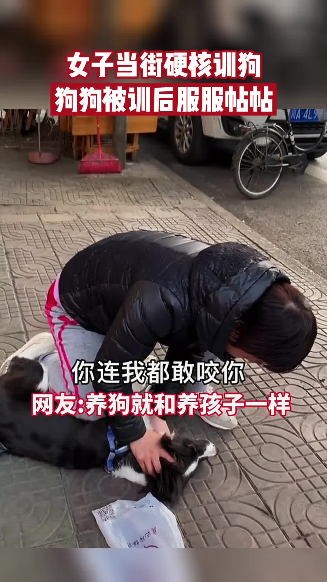 女子当街硬核训狗狗狗被训后服服帖帖网友养狗和养孩子一样1708
