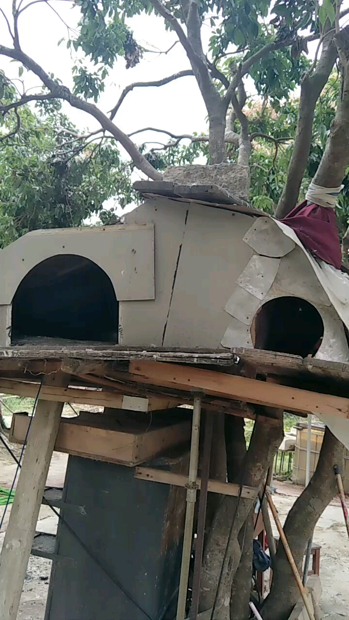 伯父做的鸽子窝
